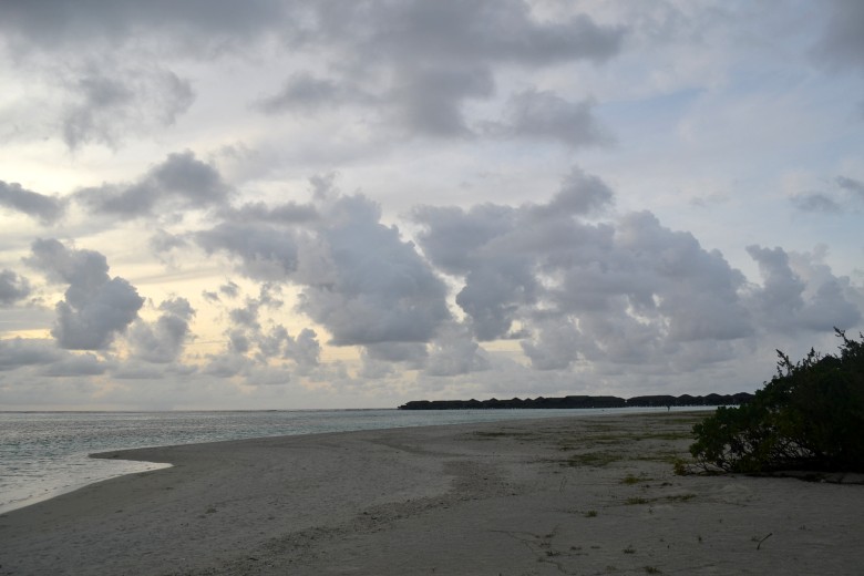 abc 868_conew1.jpg