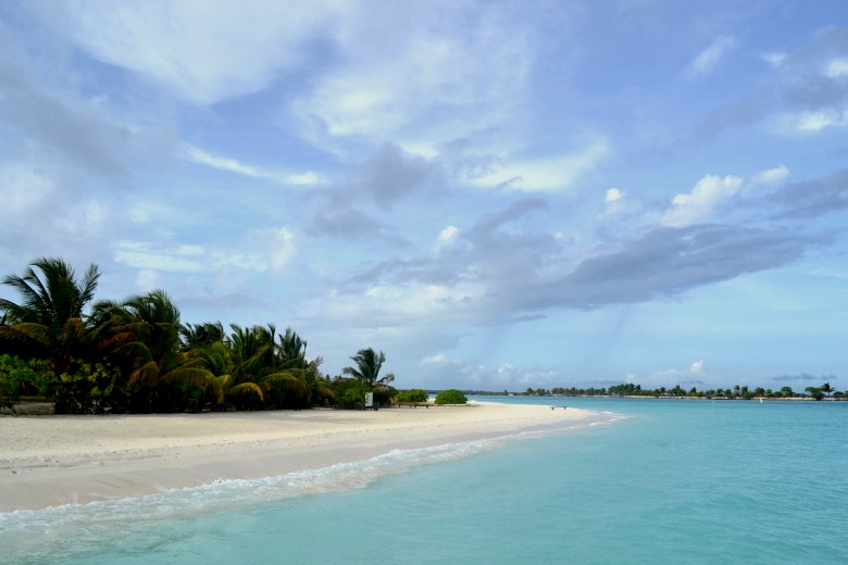 abc 894_conew1.jpg