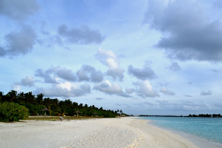 abc 937_conew1.jpg