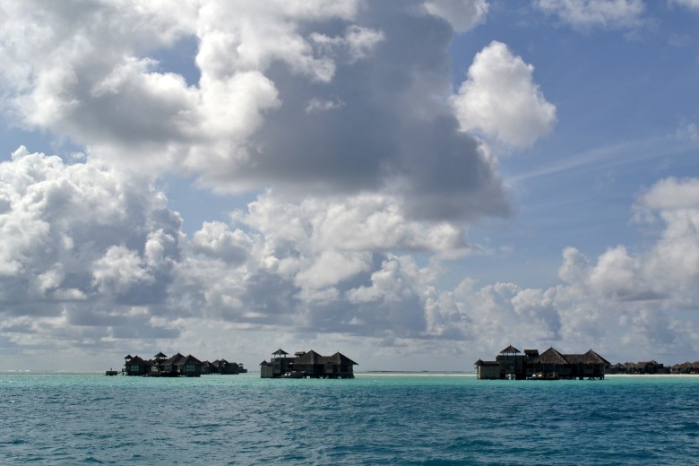 abc 687_conew1.jpg