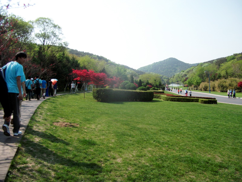 dscf0611.jpg