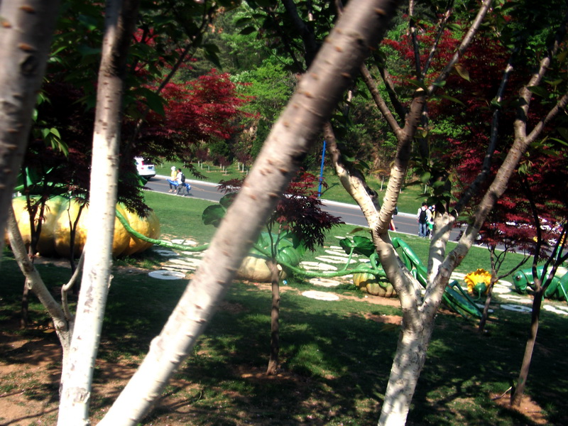 dscf0612.jpg