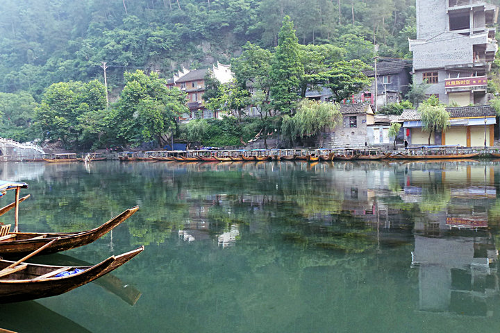 p1010940.jpg