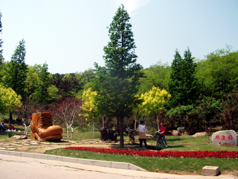 dscf0426.jpg