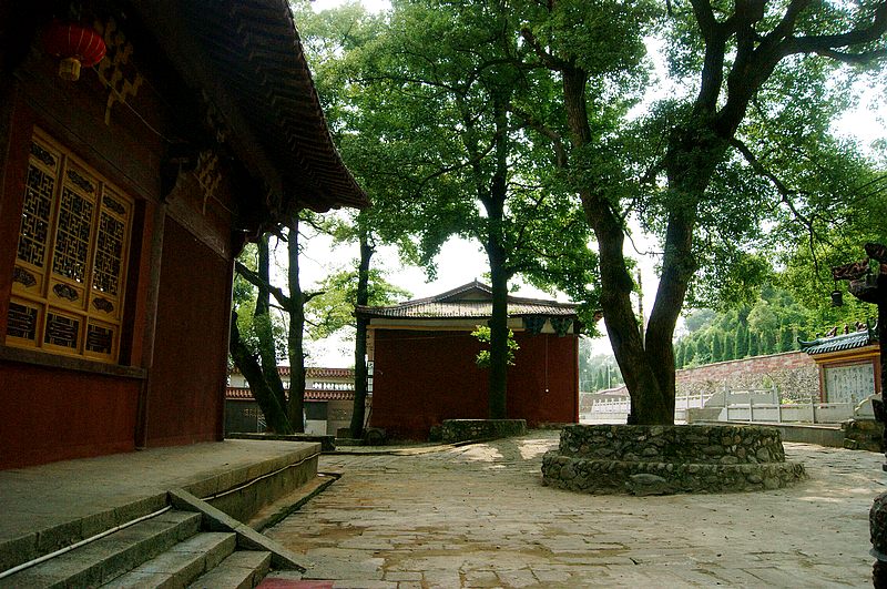 dsc02309.jpg