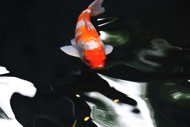 6u0b5309.jpg