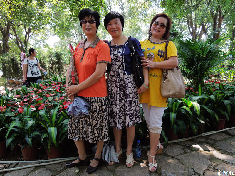 dscn0535.jpg
