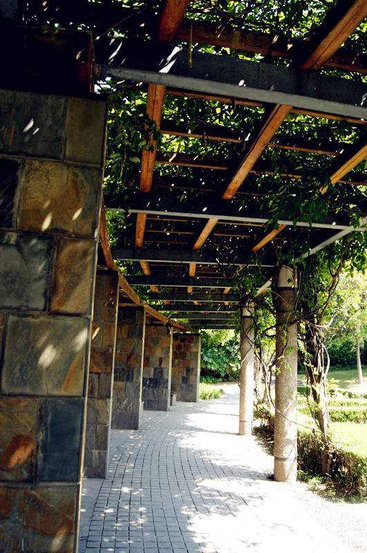 dsc00917_.jpg