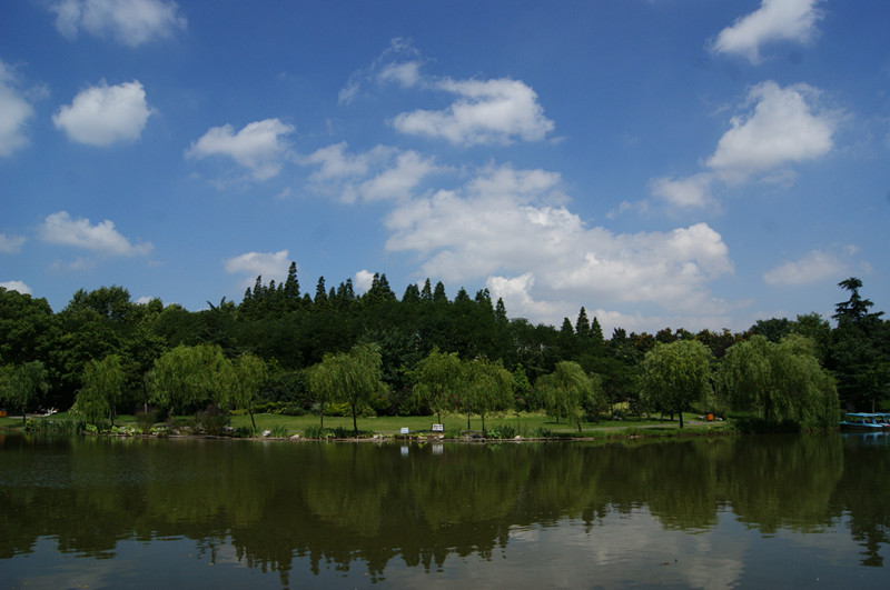 dsc00939_.jpg