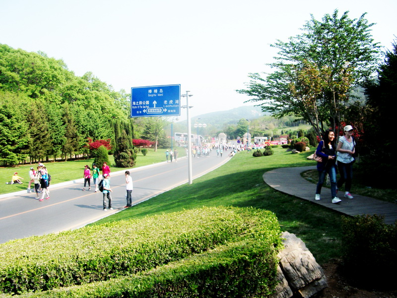 dscf0623.jpg