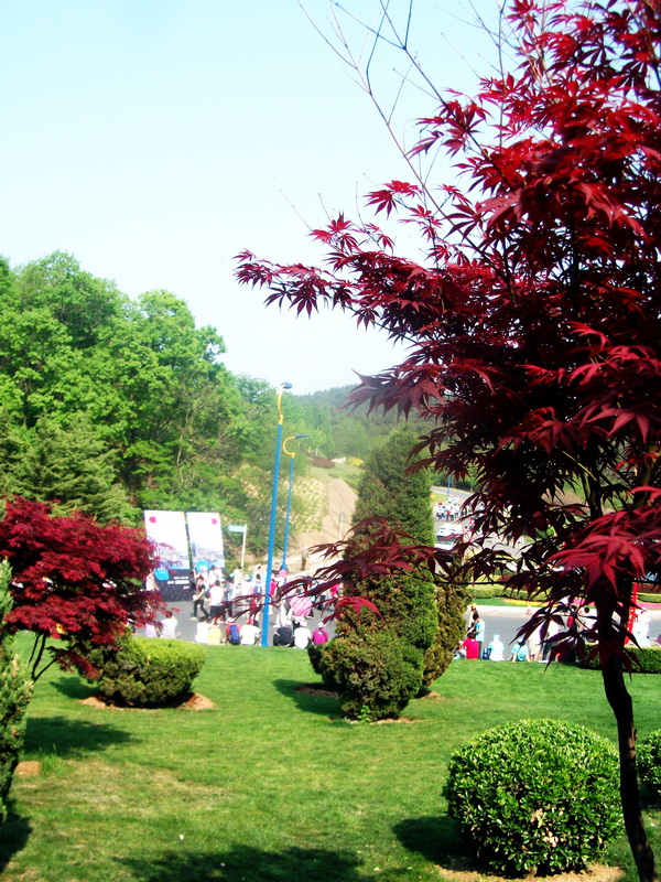 dscf0624.jpg