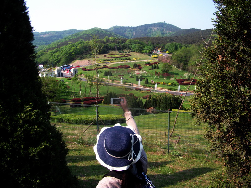 dscf0627.jpg