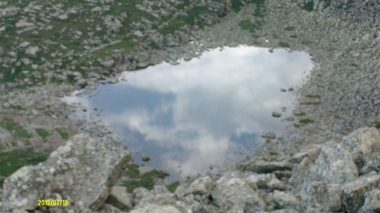 file3339_conew1.jpg