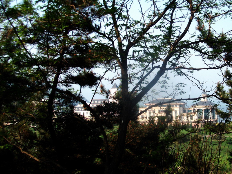 dscf0631.jpg