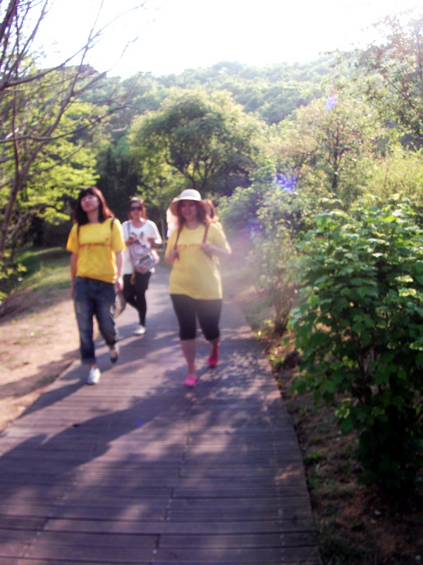 dscf0634.jpg