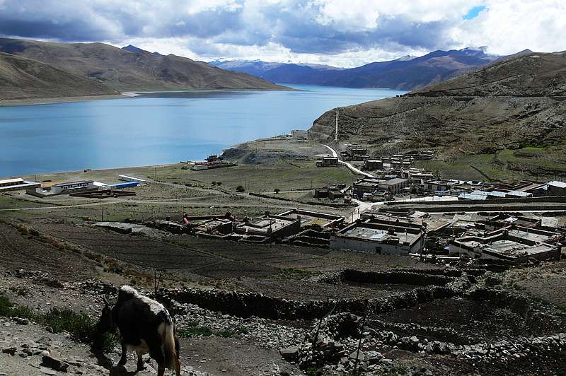p1220021.jpg