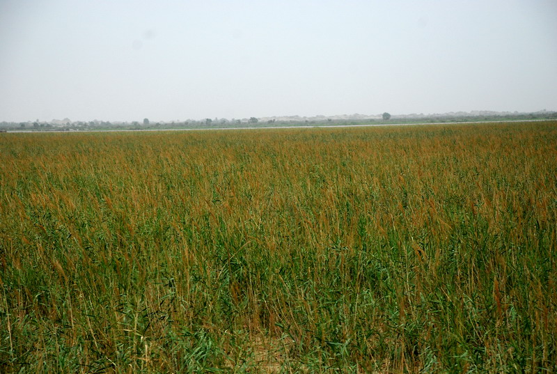 dsc_2179.jpg