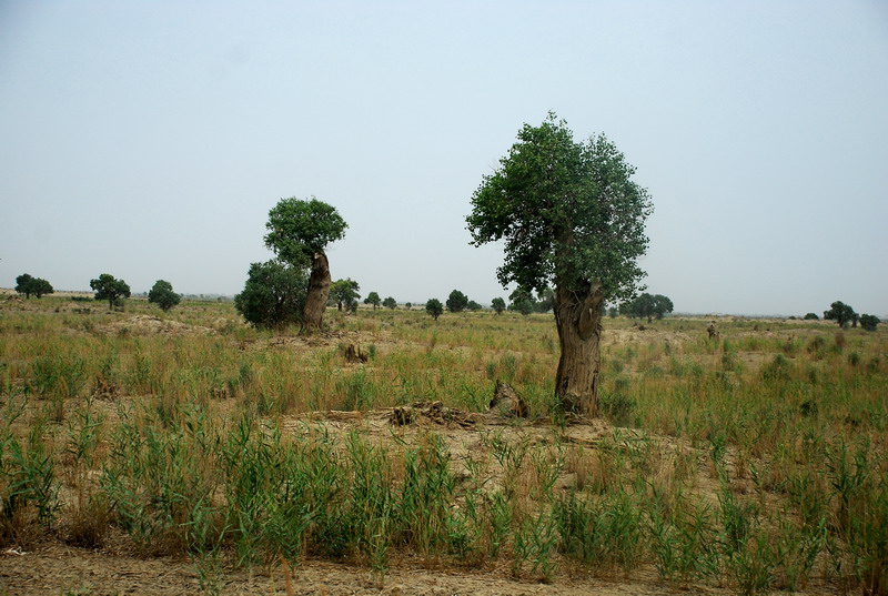 dsc_2174.jpg
