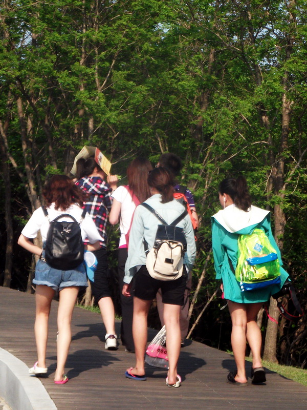 dscf0641.jpg