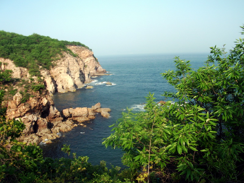 dscf0643.jpg