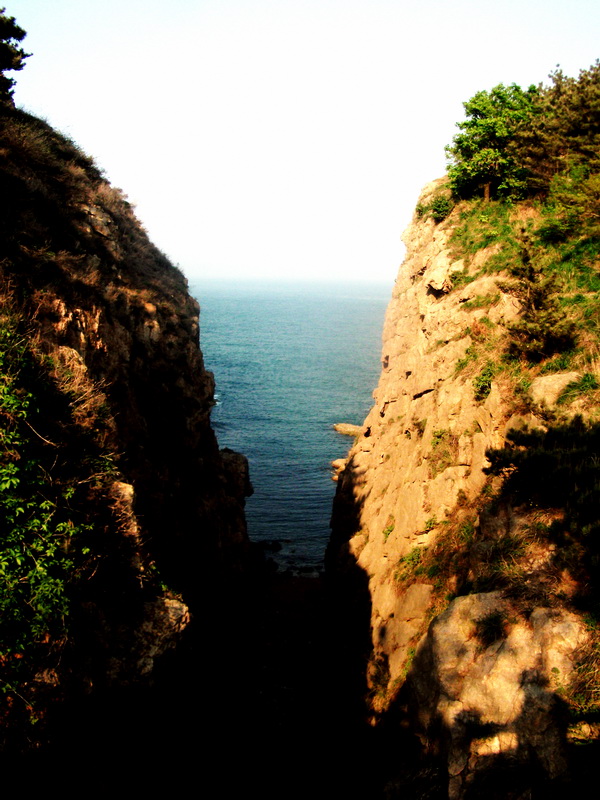 dscf0646.jpg