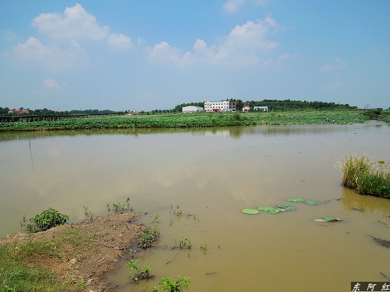 dscn0768.jpg