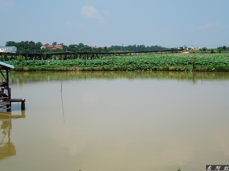 dscn0769.jpg