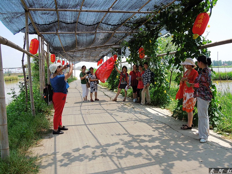 dscn0787.jpg