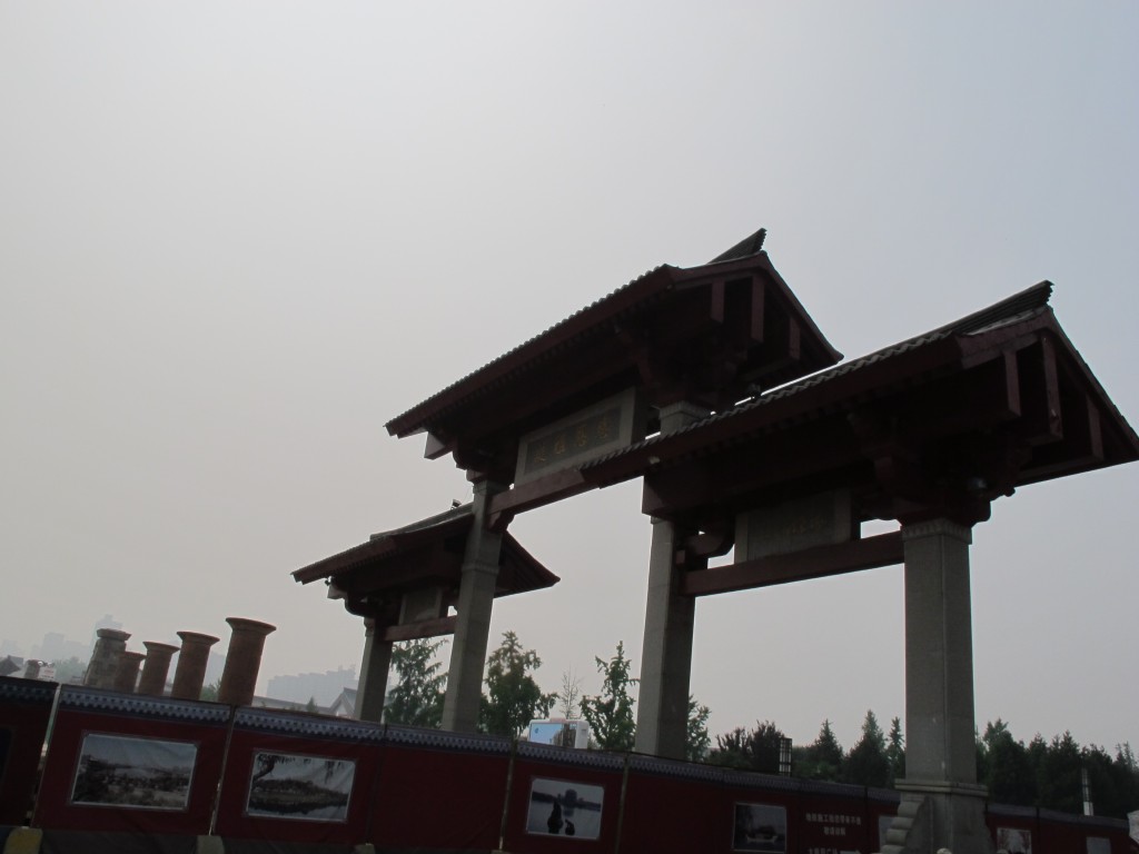 conew_6y 013.jpg