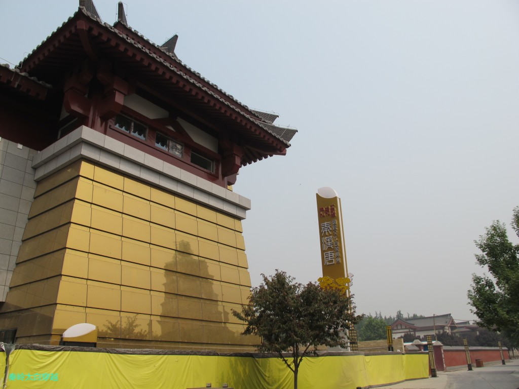 conew_6y 0311.jpg