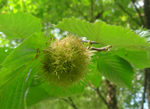 qqͼ20120730083754.png
