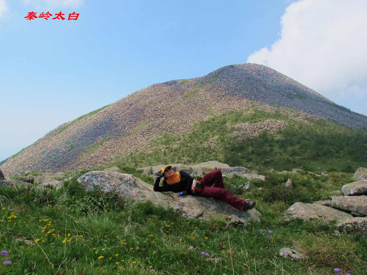 a7.jpg