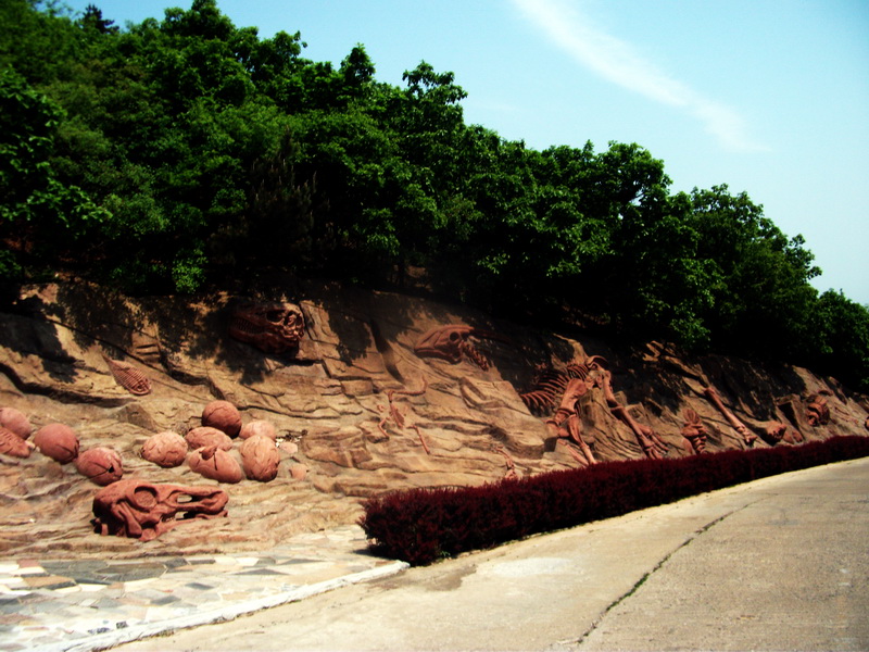 dscf0427.jpg