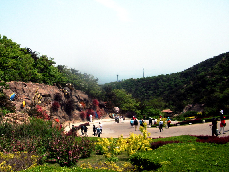 dscf0436.jpg