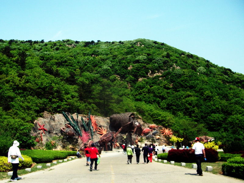 dscf0434.jpg