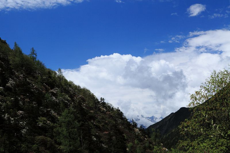 _mg_8835.jpg