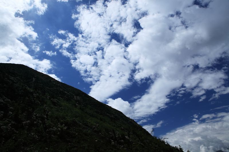 _mg_8843.jpg