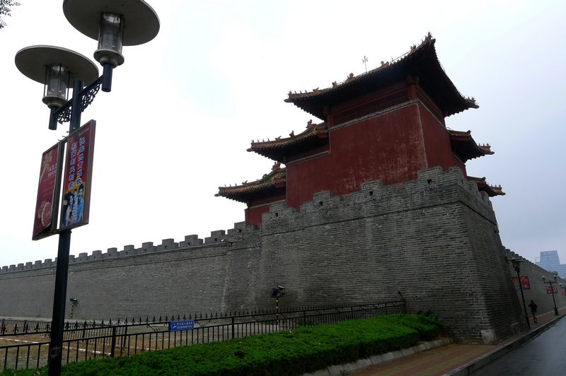 p1130479.jpg