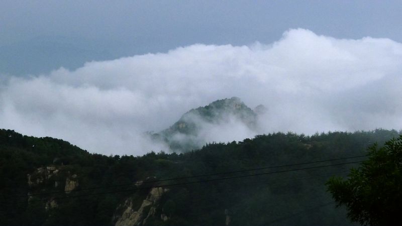 p1130400.jpg