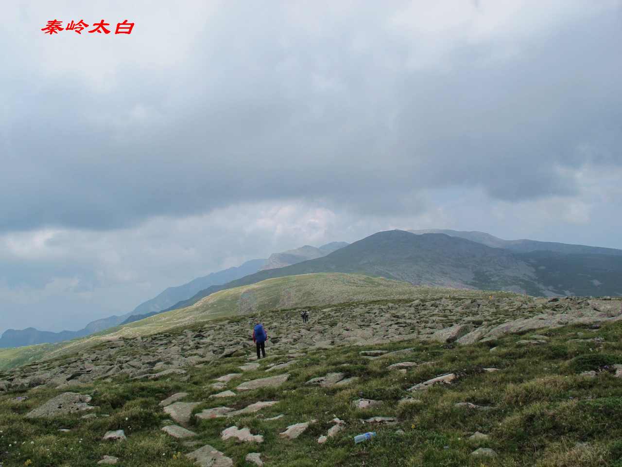 a9.jpg