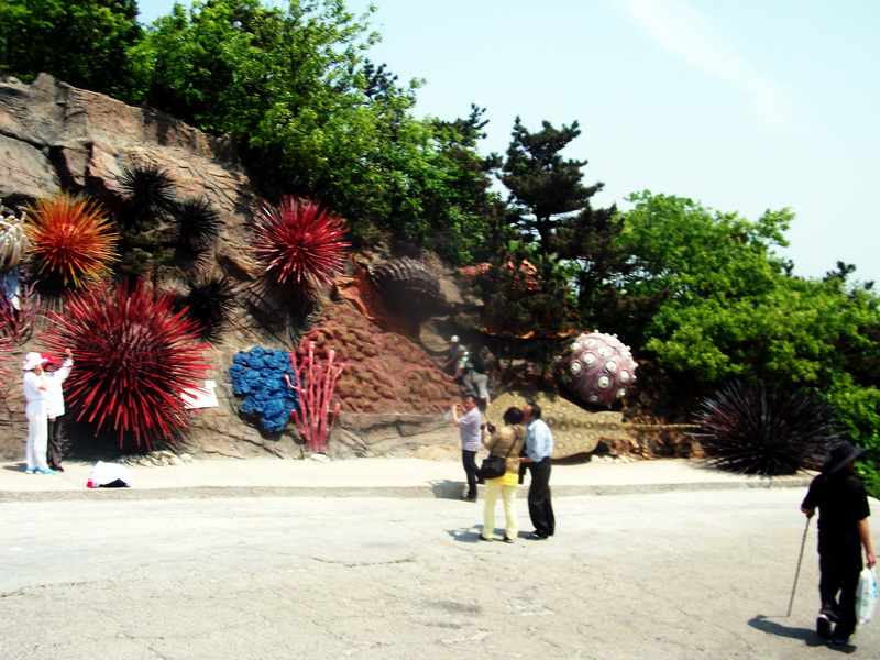 dscf0438.jpg