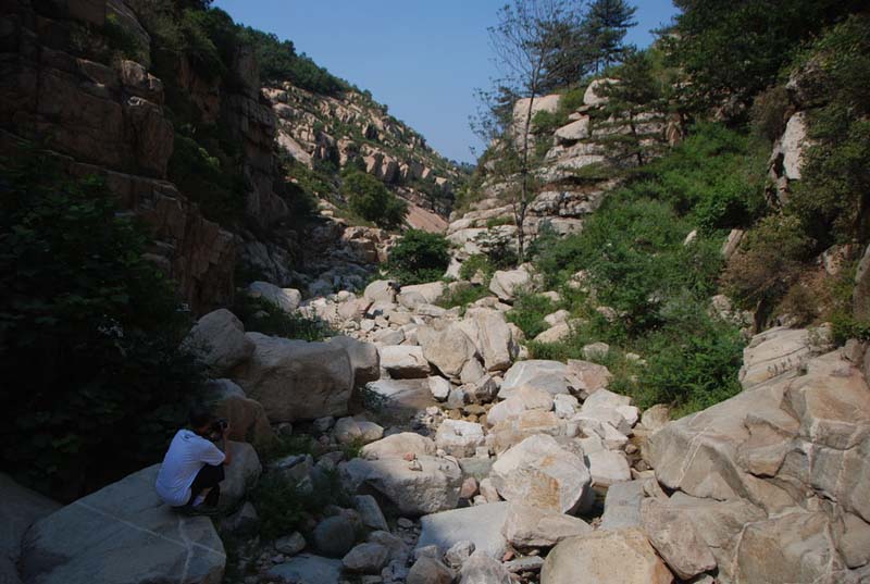 dsc_0978.jpg