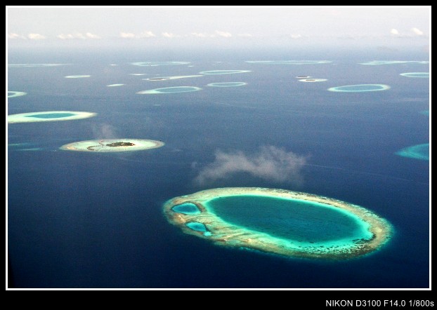 abc 022_conew1.jpg