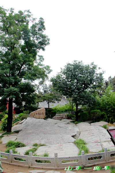 img_5314_СС.jpg