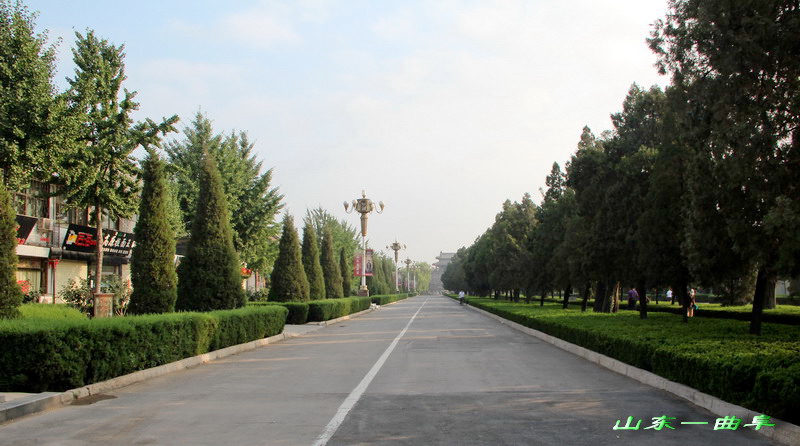 img_5339_СС.jpg
