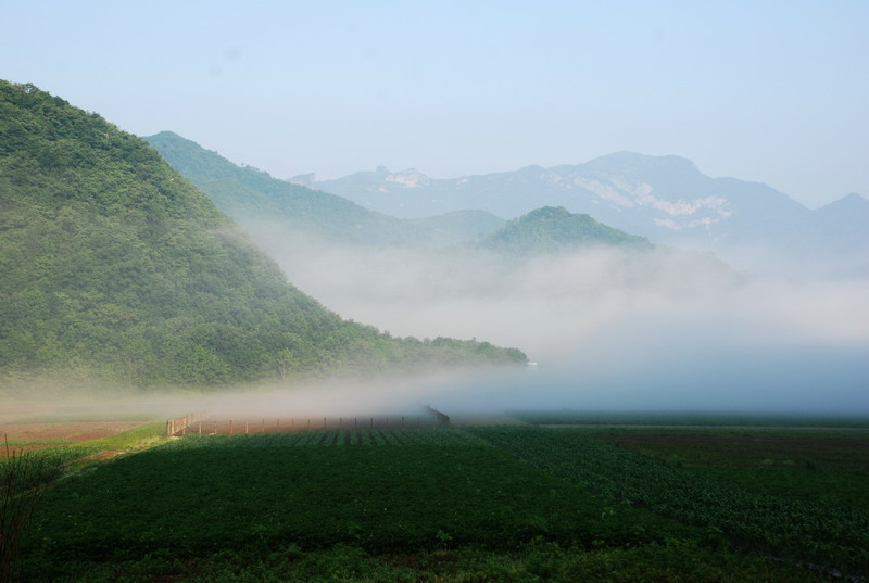 dsc_0515.jpg