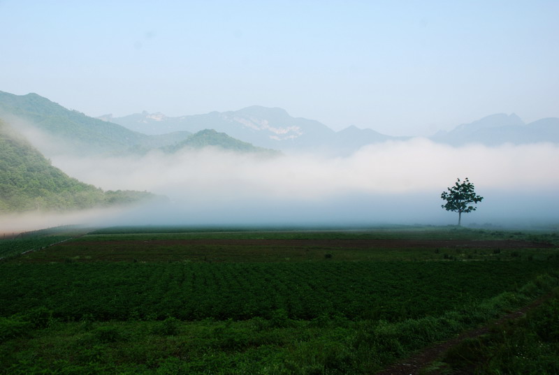 dsc_0518.jpg