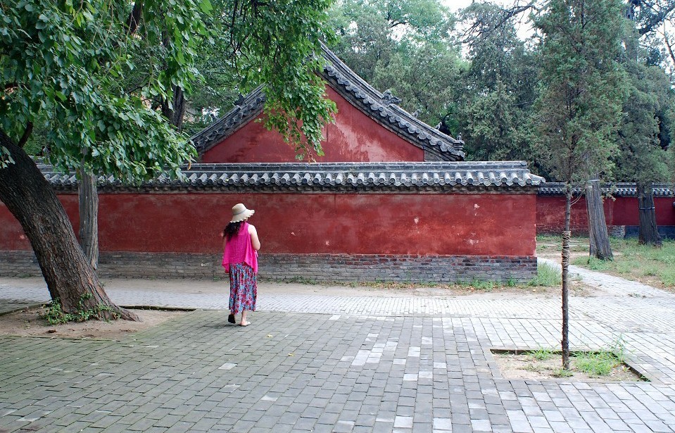 110.jpg