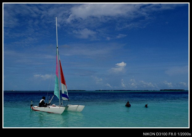 abc 809_conew1.jpg