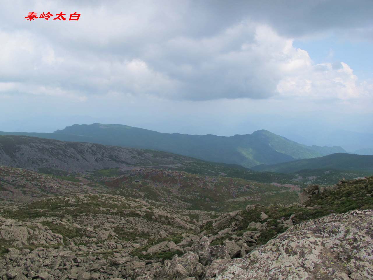 a8.jpg